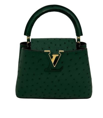 Capucine BB Correa, vista frontal
